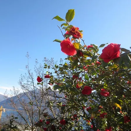 Casa Rabissale Locarno