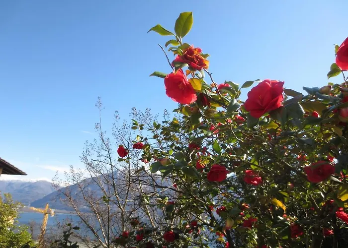 Casa Rabissale Locarno