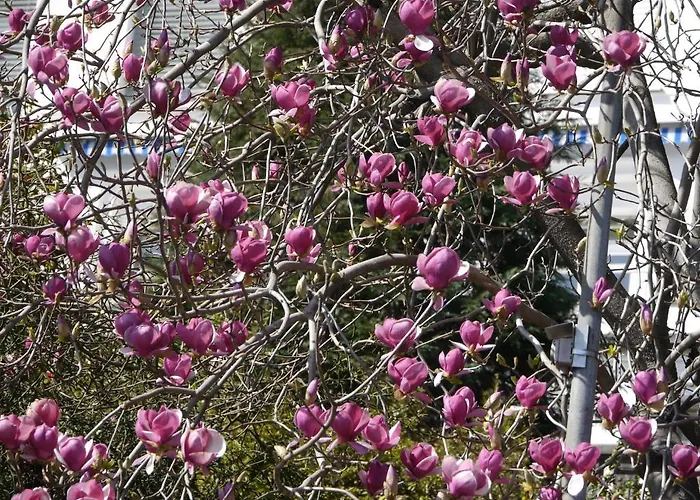 Casa Rabissale Locarno